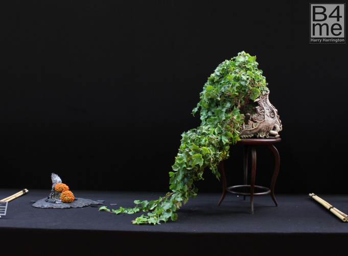 Ivy bonsai